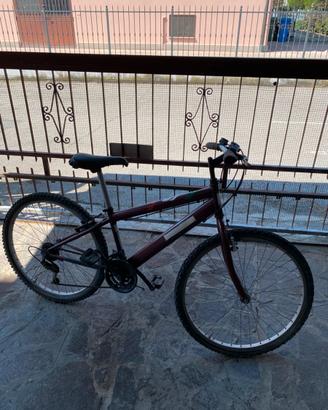 Bicicletta MTB 26”