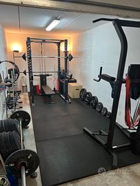 Palestra Lacertosus