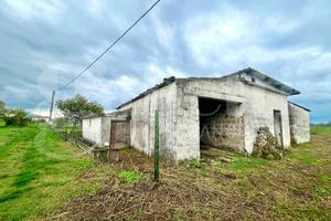 Rustico/Casale/Corte Alife [Cod. rif 3277102VRG]