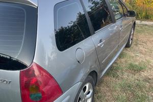 Peugeot 307 1.6 GPL – €1000
