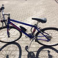 Bicicletta Lerici mountain bike 26''