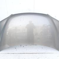 51736869 COFANO ANTERIORE FIAT MULTIPLA II (186) 1