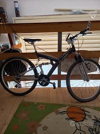bicicletta