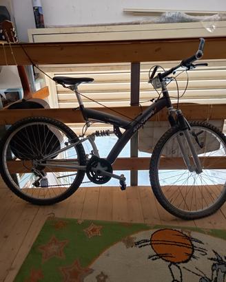 bicicletta
