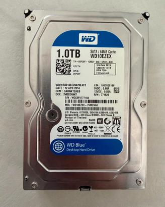 Hard Disk WD serie blue 1TB