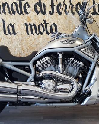Harley-Davidson V-Rod 100th Anniversary 2003