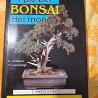I più bei Bonsai del Mondo - L. Ambrosi - Y. Takay