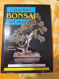 I più bei Bonsai del Mondo - L. Ambrosi - Y. Takay
