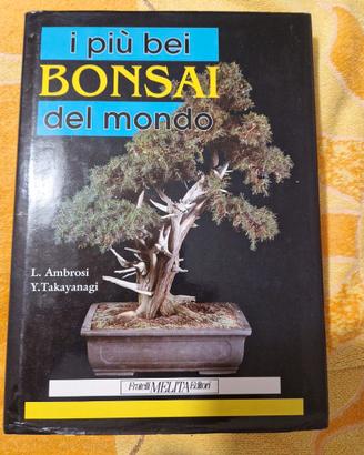 I più bei Bonsai del Mondo - L. Ambrosi - Y. Takay