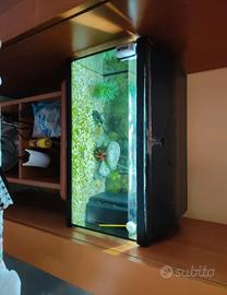 Acquario pesci nero dimensioni medie