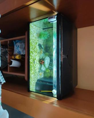 Acquario pesci nero dimensioni medie
