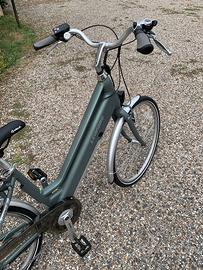 Bicicletta elettrica Leopard Railway II