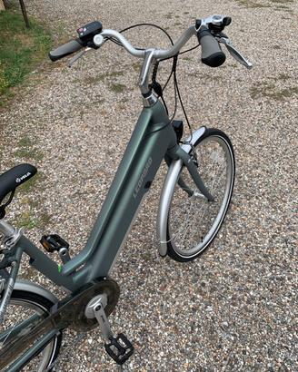 Bicicletta elettrica Leopard Railway II