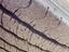Immagine 13