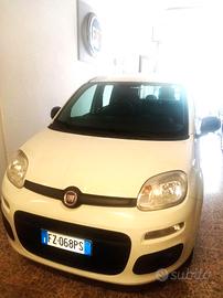 FIAT Panda 3ª serie - 2019