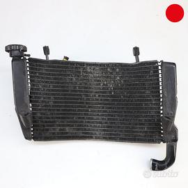 Radiatore acqua DUCATI 999