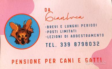 Pensione per cani e gatti