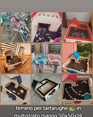 terrario in legno per tartarughe 