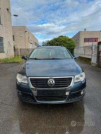 radiata per exsport  EU