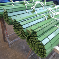 Tenda a rullo-Cassine in legno