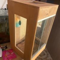 Teca X rettili in legno