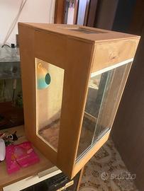 Teca X rettili in legno