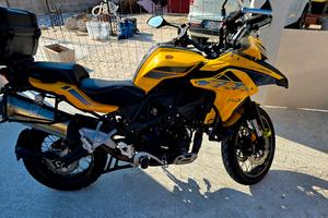 trk 502 x 