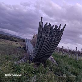  serra a tunnel di mq 3900 campate da 9 metri