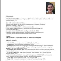 curriculum