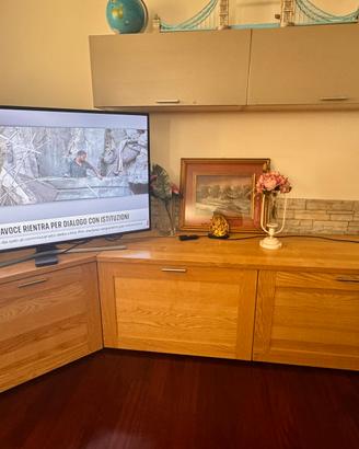 Mobile tv