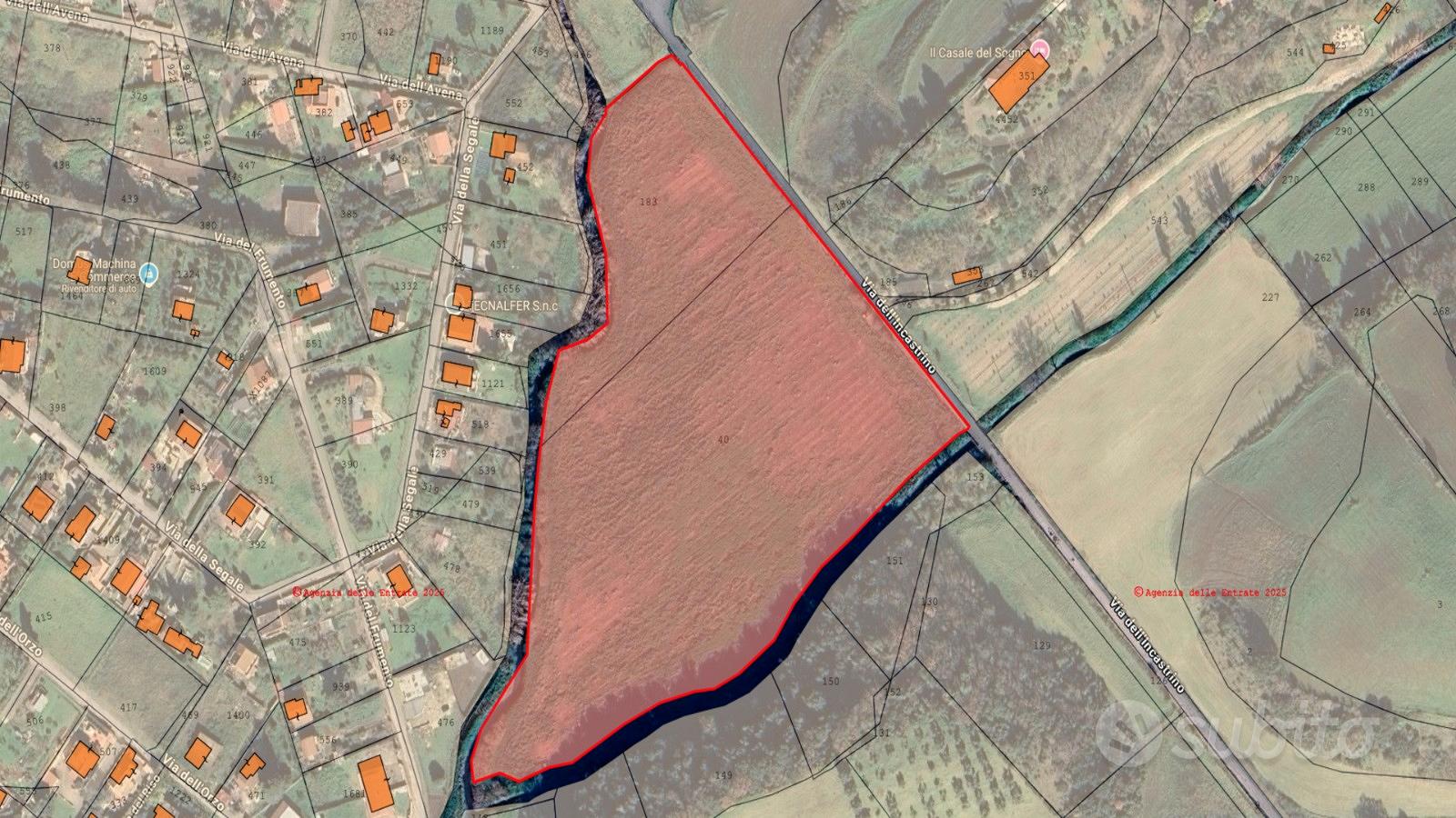 Ardea (RM) - Terreno 4,5 HA con pozzo | TR459 - Vista 5