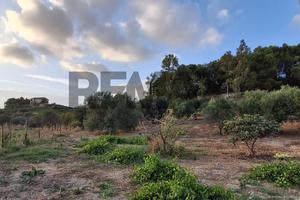 Terreno - Favara