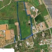 Terreno fertile agricolo