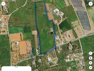 Terreno fertile agricolo