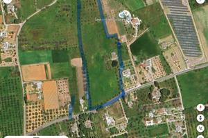 Terreno fertile agricolo