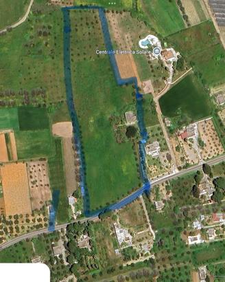Terreno fertile agricolo