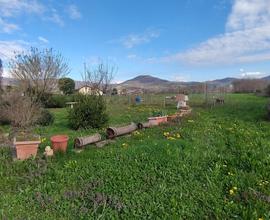 Terreno Agricolo Cumiana [Cod. rif 3225096VCG]