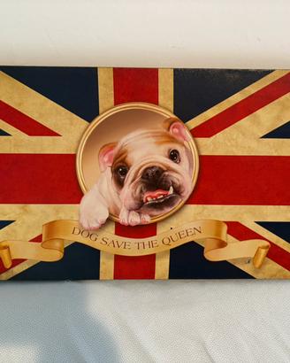 Quadro bull dog