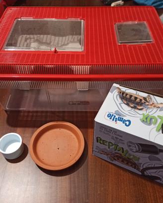 terrario con lampada per tartaruga o rettili