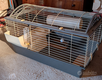 Gabbbia coniglio nano