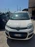 fiat-panda