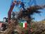 Immagine 4