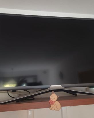 TV Samsung 43 pollici