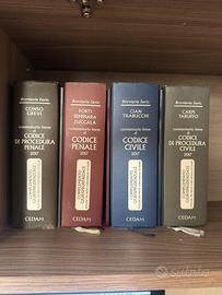 Codici commentati CEDAM 2017