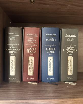Codici commentati CEDAM 2017