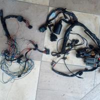 impianto elettrico parafango Triumph Daytona 2007