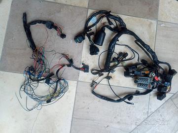 impianto elettrico parafango Triumph Daytona 2007