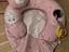 Immagine 3