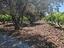 Immagine 27