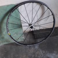 Ruota Mavic ksjrius